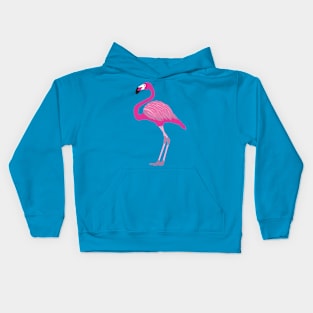 Flamingo Vibes Kids Hoodie